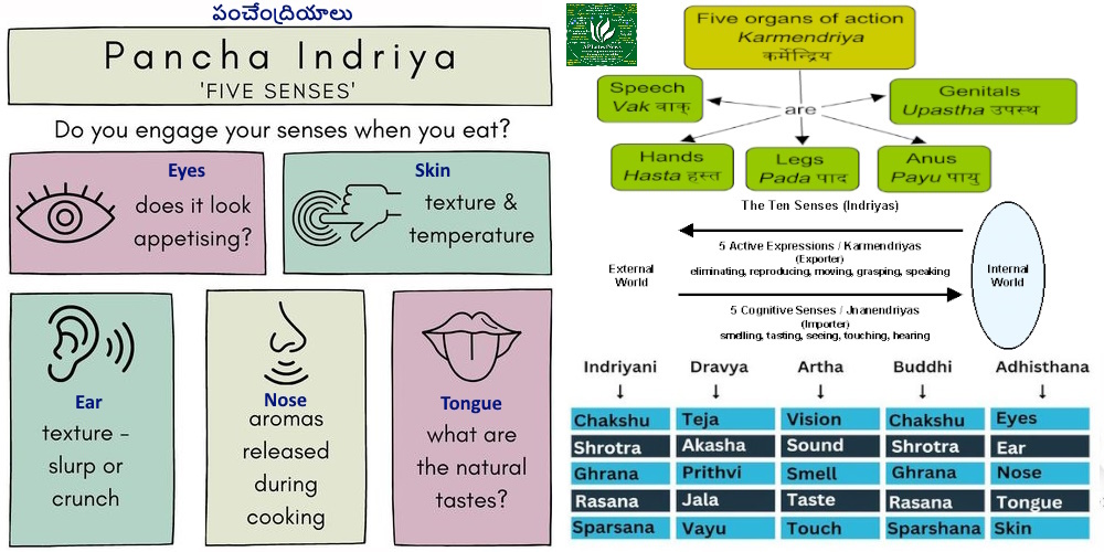 పసిపిల్లల కు పంచేంద్రియాలు కర్మేంద్రియాలు పని చేయడం ఆనందం, అదే పెద్దలు కు అవి ఆగిపోవడం?