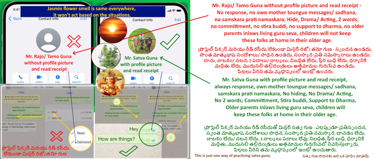 దేవుడు లేదా ఆకాశం లేదా పువ్వు చెట్టు బొమ్మ అలవాట్లు వ్రుత్తి వ్యాపారం - ఏ గురువూ గుణ కర్మలను?